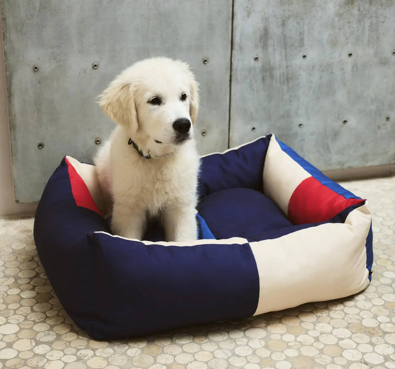 PET ACCESSORIES