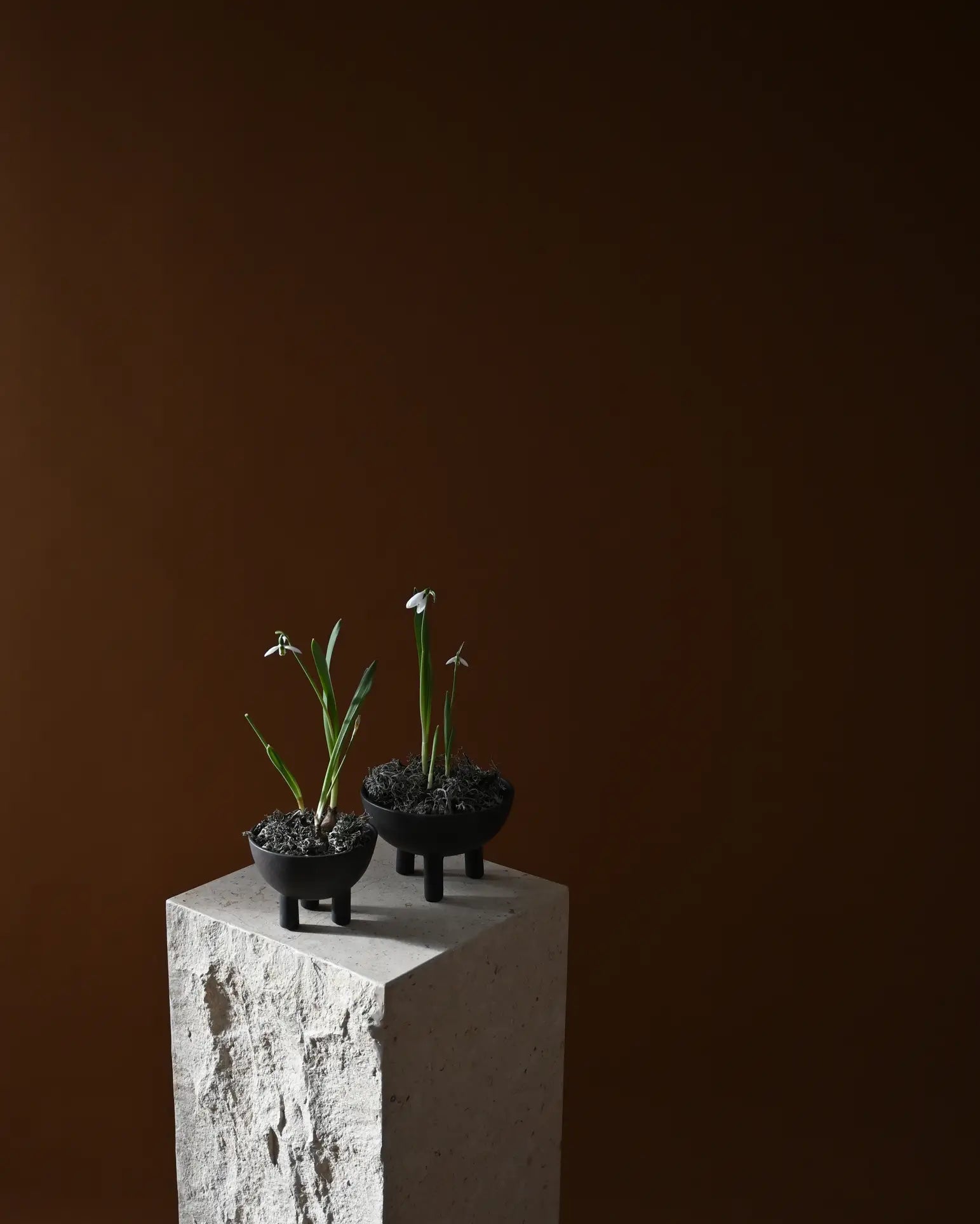 The 101 Copenhagen Duck Bowl, Big by 101 Copenhagen sits on a textured stone pedestal, its sleek black ceramic design highlighted by soft lighting against a brown background, showcasing subtle Scandinavian aesthetics.