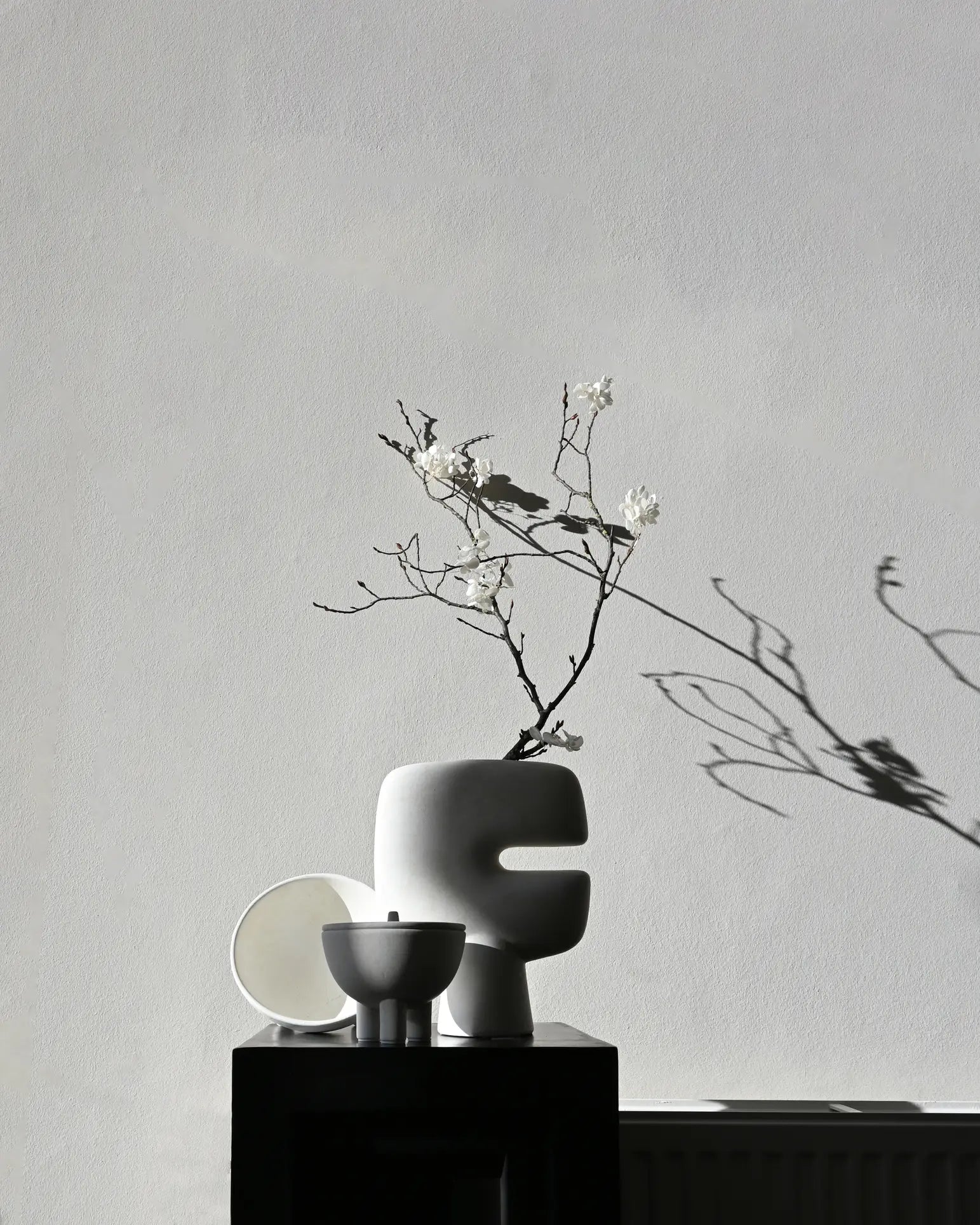 Minimalist still life with the 101 Copenhagen Duck Jar, Medio by 101 Copenhagen, featuring blooming branches, a round white dish, and a hand-glazed small bowl—all casting soft shadows on a light gray wall.