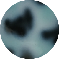 Color Image