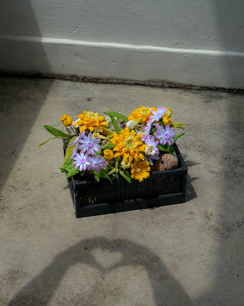 The Ah!GUGU x Stacked Store Still Life in Bloom - Handcrafted Flowers, featuring yellow and light purple blooms in a black plastic crate, sits on concrete as hands form a heart-shaped shadow in the foreground.