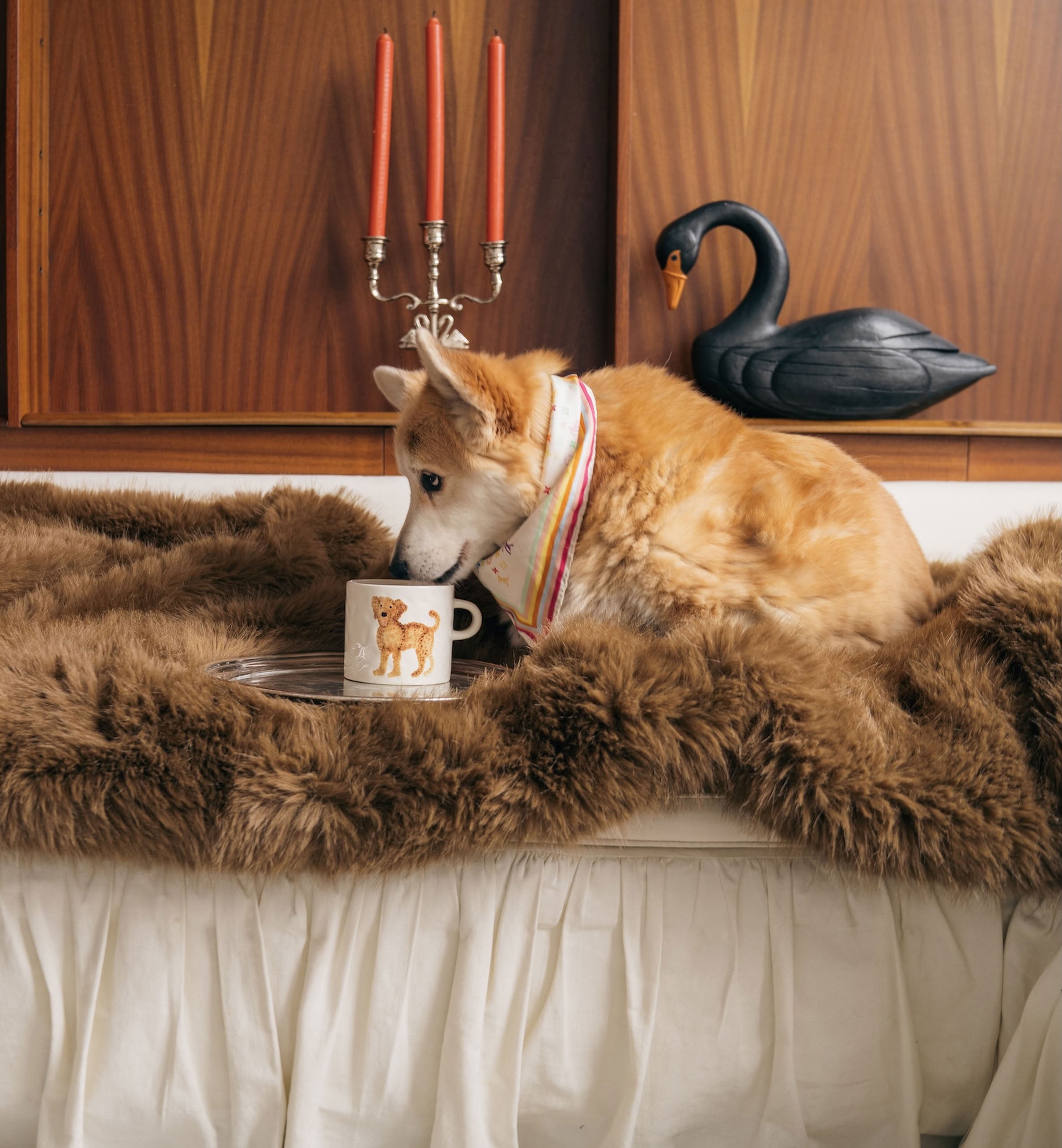 Anna + Nina Labradoodle Mug