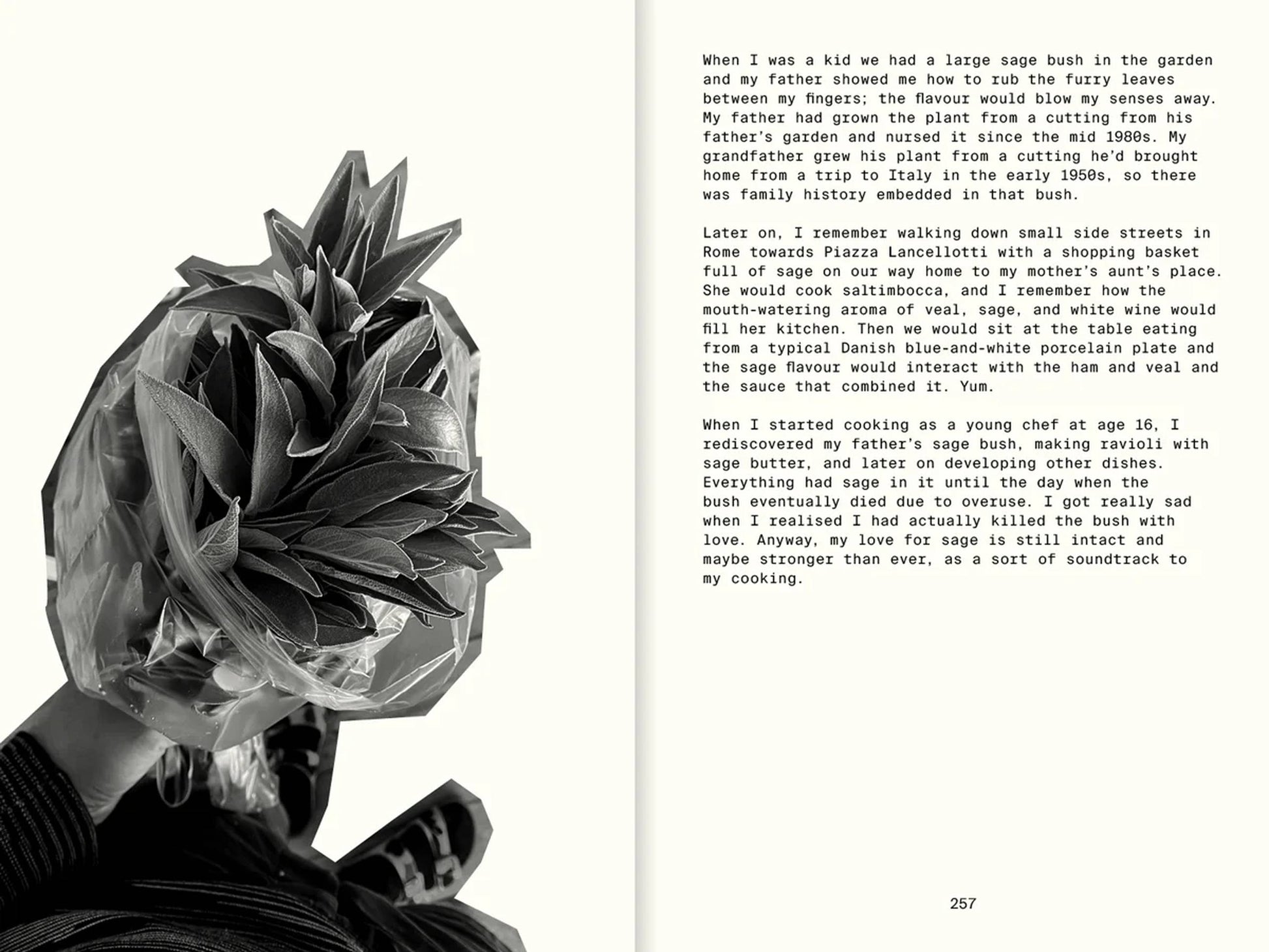 A grayscale image shows a person with their head wrapped in leaves. On the right, a page shares childhood memories and simple recipes inspired by family sage bush traditions and the Apartamento All The Stuff We Cooked: 49 Recipes cookbook.