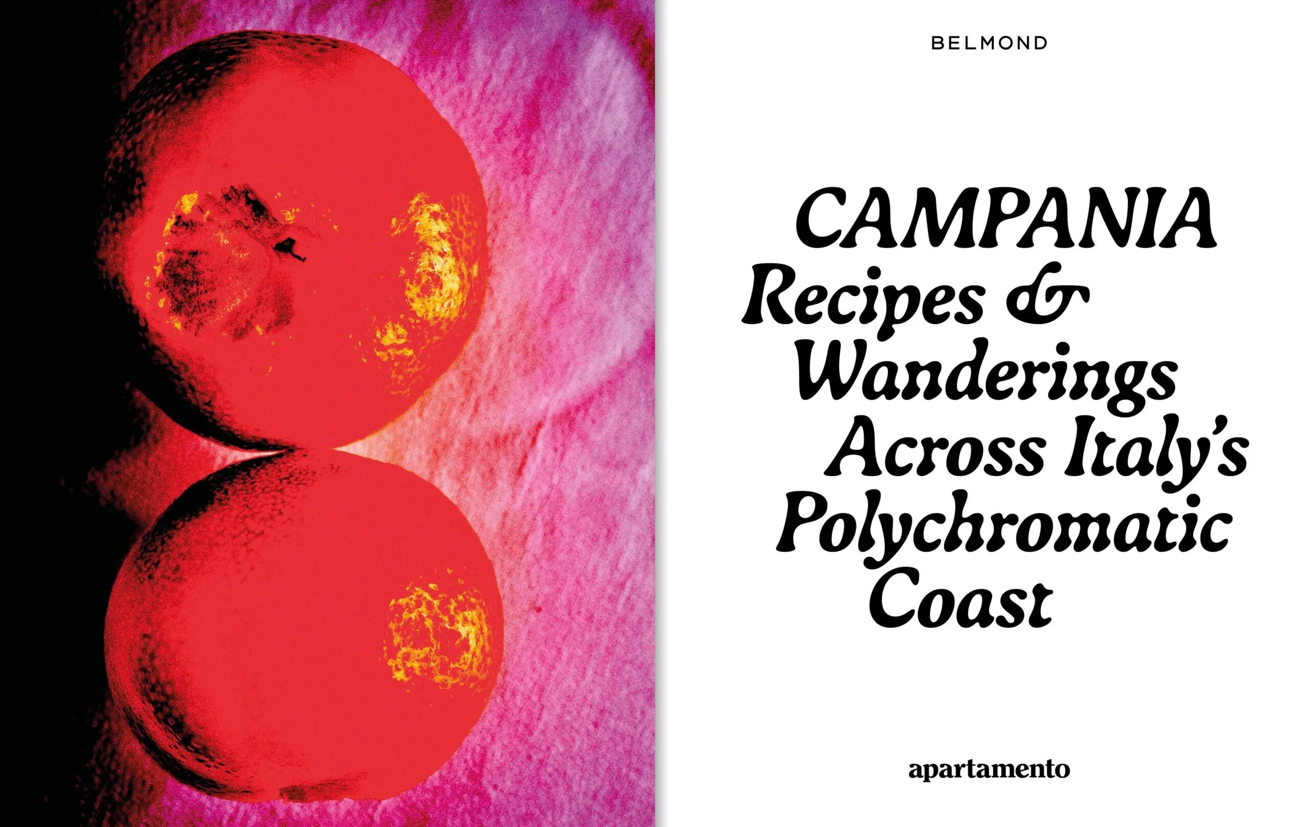 Apartamento CAMPANIA: Recipes & Wanderings Across Italy's Polychromatic Coast