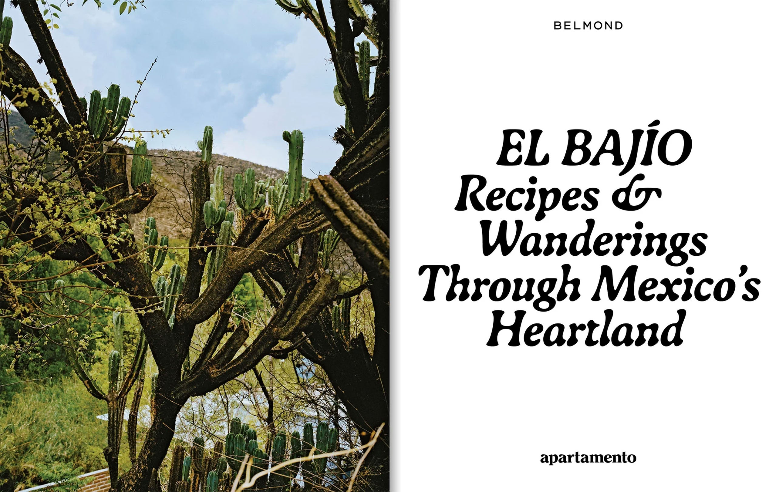 Apartamento EL BAJÍO: Recipes & Wanderings Through Mexico's Heartland