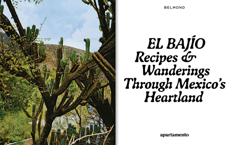 Apartamento EL BAJÍO: Recipes & Wanderings Through Mexico's Heartland