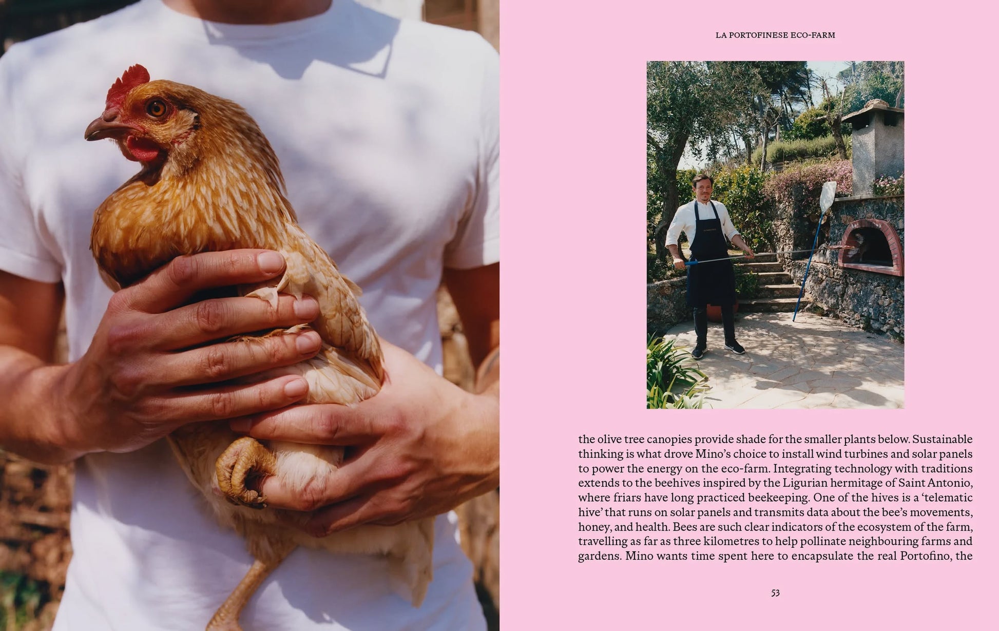 A person in a white shirt holds a brown chicken outside, while a man in an apron stands by a stone oven in a sunny Liguria-inspired garden. Featured: Apartamento LIGURIA: Recipes & Wanderings Along the Italian Riviera by Apartamento. Text appears below the photo.