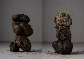 Two stacks of animal dung, one dark with straw and one light with grass and soil, sit against a plain backdrop—evoking graphic novel scenes—in Apartamento Magazine Issue #28 by Apartamento.
