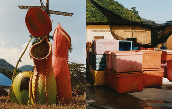 A split image: left, large tropical pitcher plant sculptures by street signs in Penang; right, stacked colorful weathered plastic containers outdoors, from Apartamento PENANG: Recipes & Wanderings Around an Island in Malaysia by Apartamento.