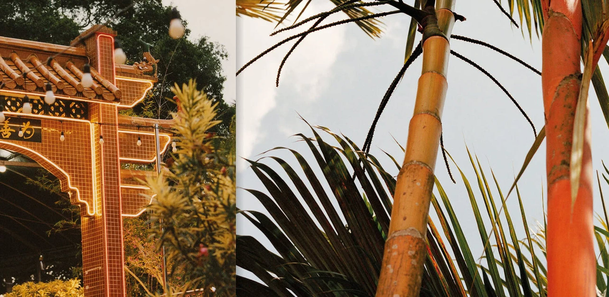 A close-up of a tiled archway with lights, bamboo stalks, and palm leaves beneath a blue sky captures the vibrant Penang spirit in Apartamento PENANG: Recipes & Wanderings Around an Island in Malaysia by Apartamento.