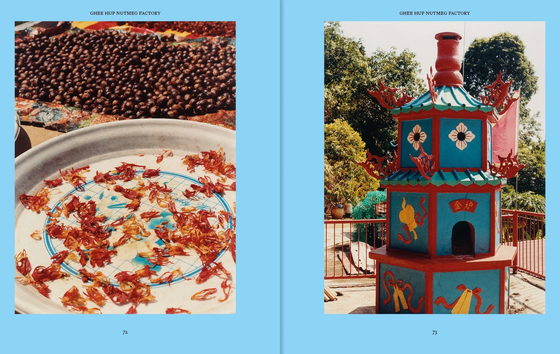 Left: Dried red flower petals and brown seeds evoke Malaysian flavors. Right: A vibrant, dragon-adorned pagoda amid greenery. Both scenes reflect the spirit of Apartamento PENANG: Recipes & Wanderings Around an Island in Malaysia by Apartamento.