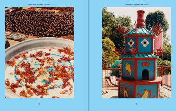 Left: Dried red flower petals and brown seeds evoke Malaysian flavors. Right: A vibrant, dragon-adorned pagoda amid greenery. Both scenes reflect the spirit of Apartamento PENANG: Recipes & Wanderings Around an Island in Malaysia by Apartamento.