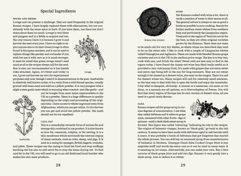 An open Apartamento Roman Recipes for Modern Cooks cookbook by Apartamento shows two Special Ingredients pages with text about spices, herbs, wine, and saba, plus illustrations of anise, Roman wine strainers, and elderberries evoking ancient Roman flavors.