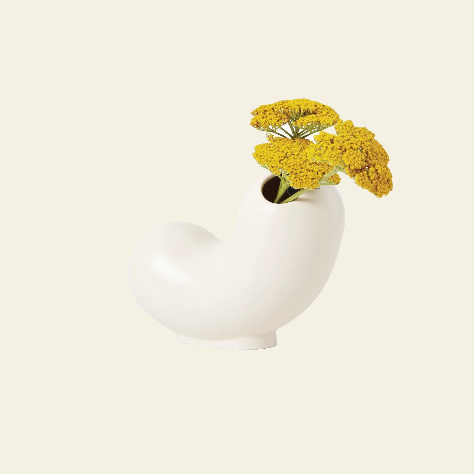 Areaware Kirby 花瓶 Curly
