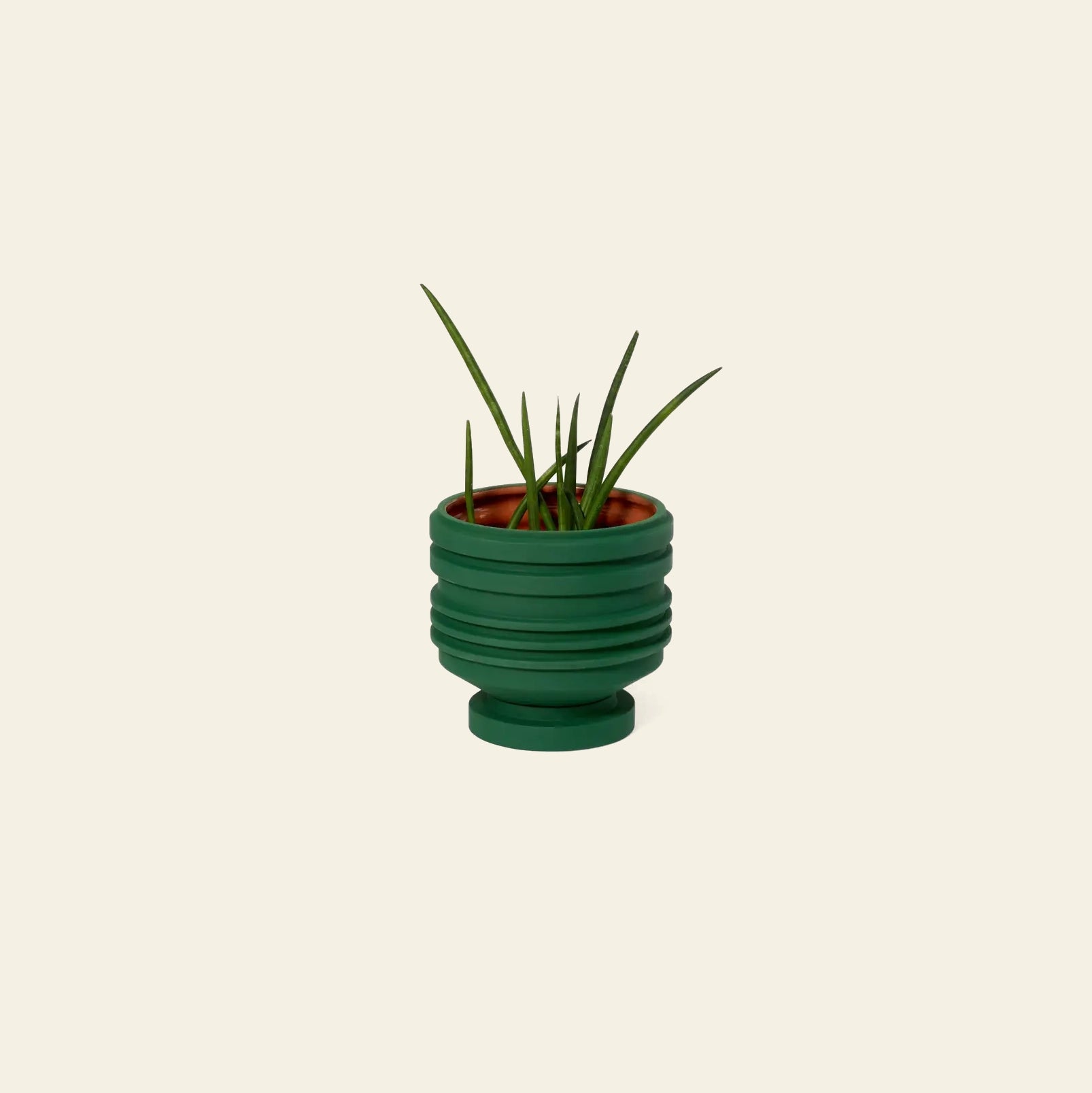 A small green plant with long, narrow leaves sits in the Areaware Strata Plant Vessel, a round, ribbed ceramic planter by Areaware, against a plain beige background.