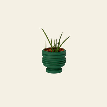 A small green plant with long, narrow leaves sits in the Areaware Strata Plant Vessel, a round, ribbed ceramic planter by Areaware, against a plain beige background.