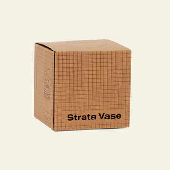 A cardboard box labeled Areaware Strata Vase Mini in bold black letters features a grid pattern, a simple line drawing of sculptural objects by Simone Brewster, and a vase with flowers on the side.