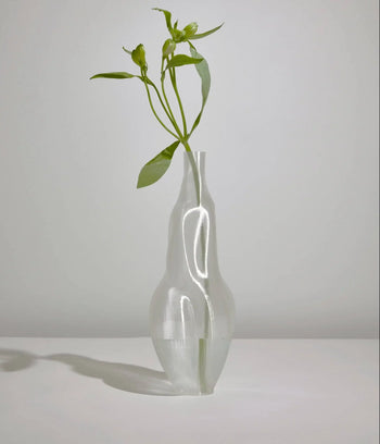 The Argot Studio Éson Vessel, Medium—a translucent, modern vase by Argot Studio—displays green leafy stems and casts a soft shadow on a white surface against a light gray background.
