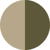 Color Image