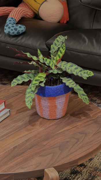 Aveva Design Flower Pot 20 M The Circus