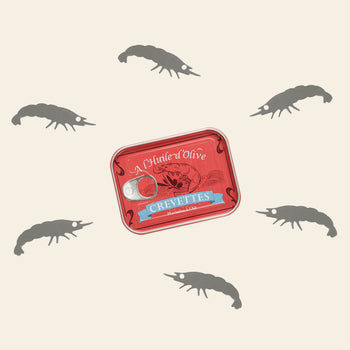 Balvi Conserverie Crevettes Snack Forks