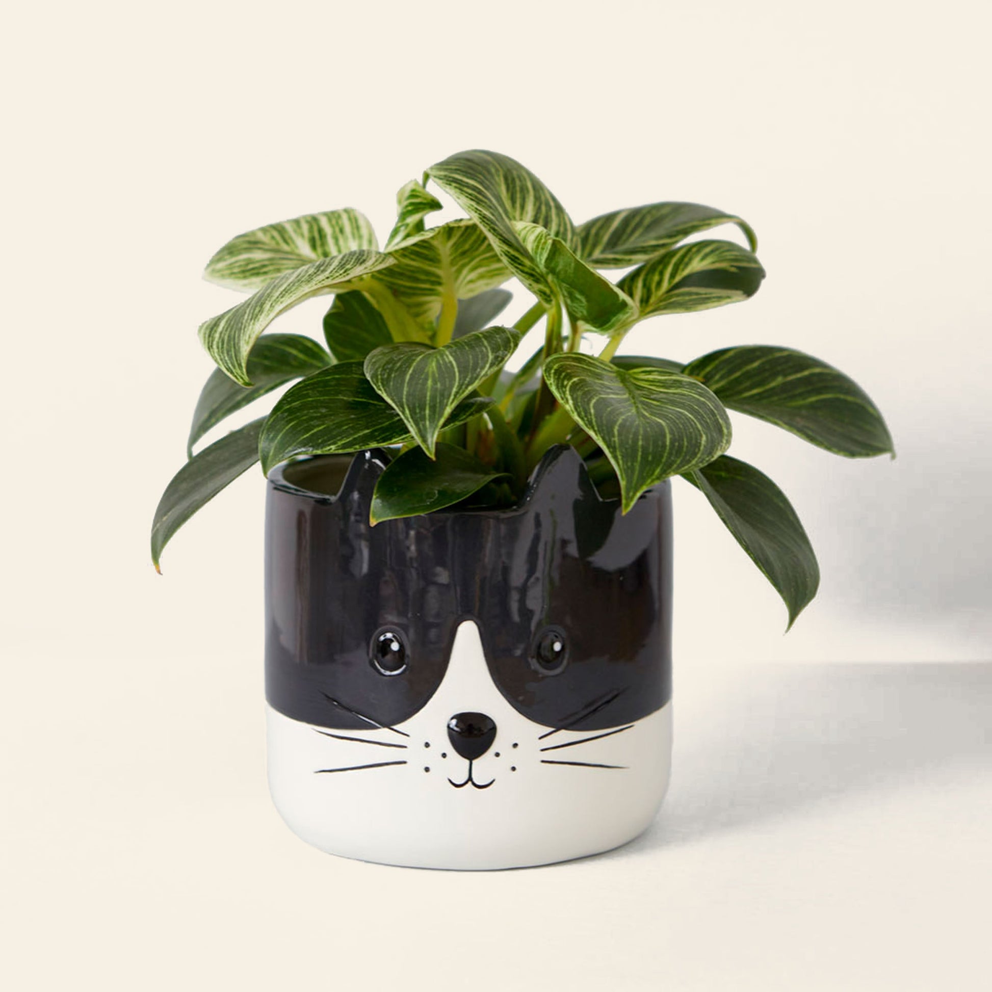 Balvi Kitty Plant Pot