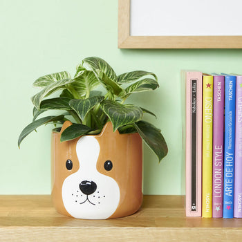 Balvi Woof! Plant Pot