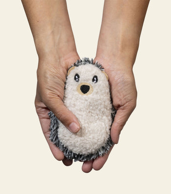 Bitten Pocket Pal Spiky Hedgehog