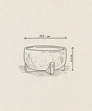 A hand-drawn illustration of the Bloomingville Beryl Flowerpot by Bloomingville, a round bowl with a stand, ideal for greenery decor. It measures 19.5 cm in diameter and 9.5 cm in height, with arrows marking dimensions above and beside the bowl.