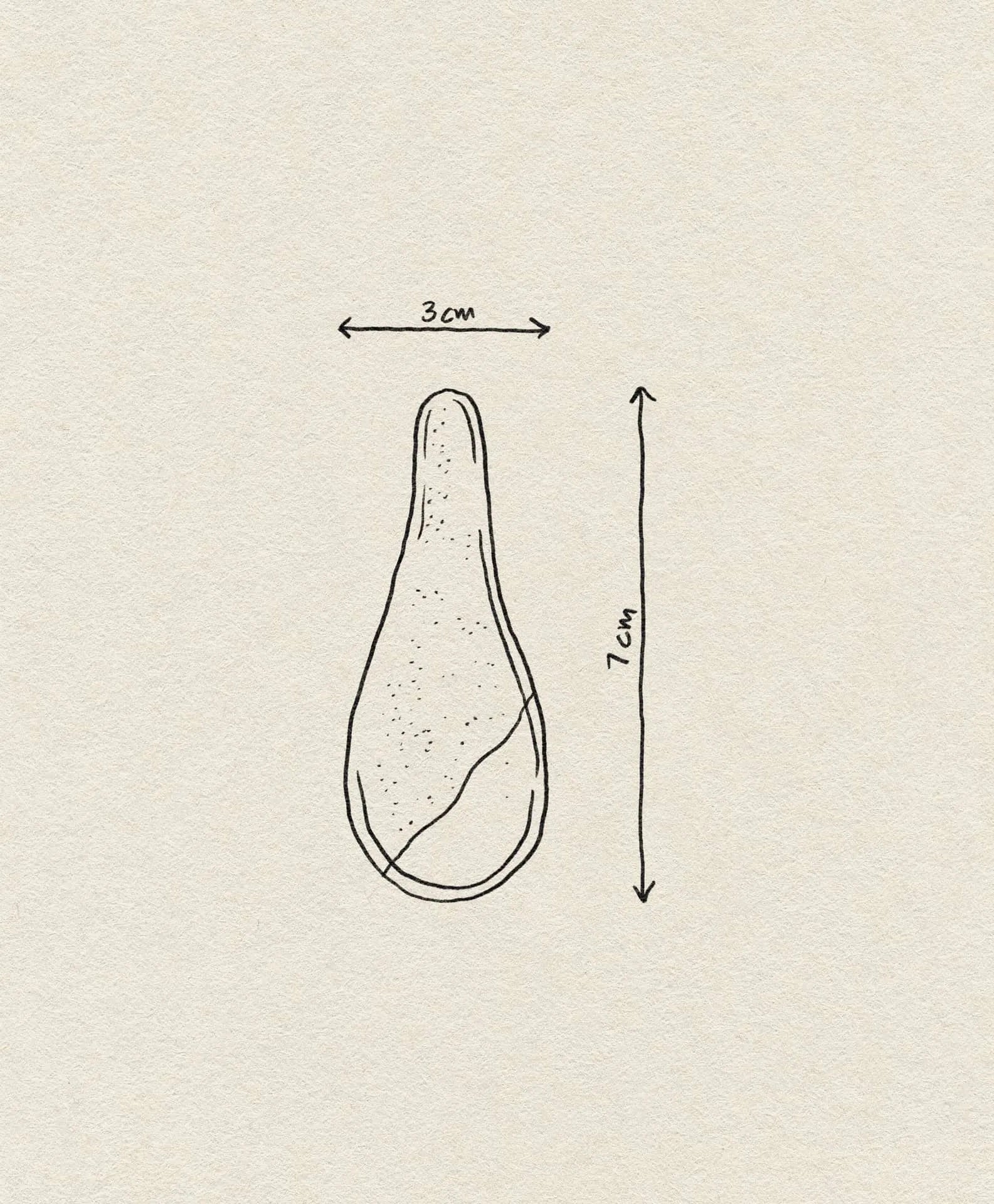Simple line drawing of a Bloomingville Masami Spoon (3 cm wide, 7 cm high), shown with labeled arrows on textured paper—ideal for kitchen or cooking illustrations. Brand: Bloomingville.