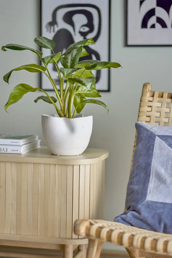 A green plant in the Bloomingville Sanam Flowerpot sits on a light wooden cabinet beside a woven chair with a blue and white pillow, with abstract black-and-white artwork on the wall in the background.