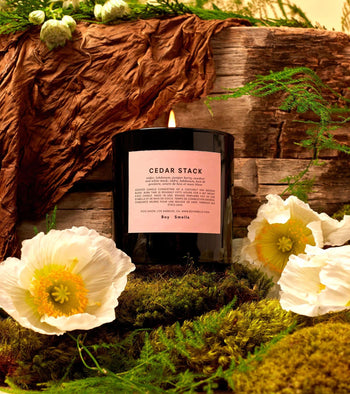 The Boy Smells Cedar Stack Scented Candle 8.5oz fills your space with a blend of white florals, green moss, and rustic wood, creating a warm, earthy ambiance with its unique fragrance.