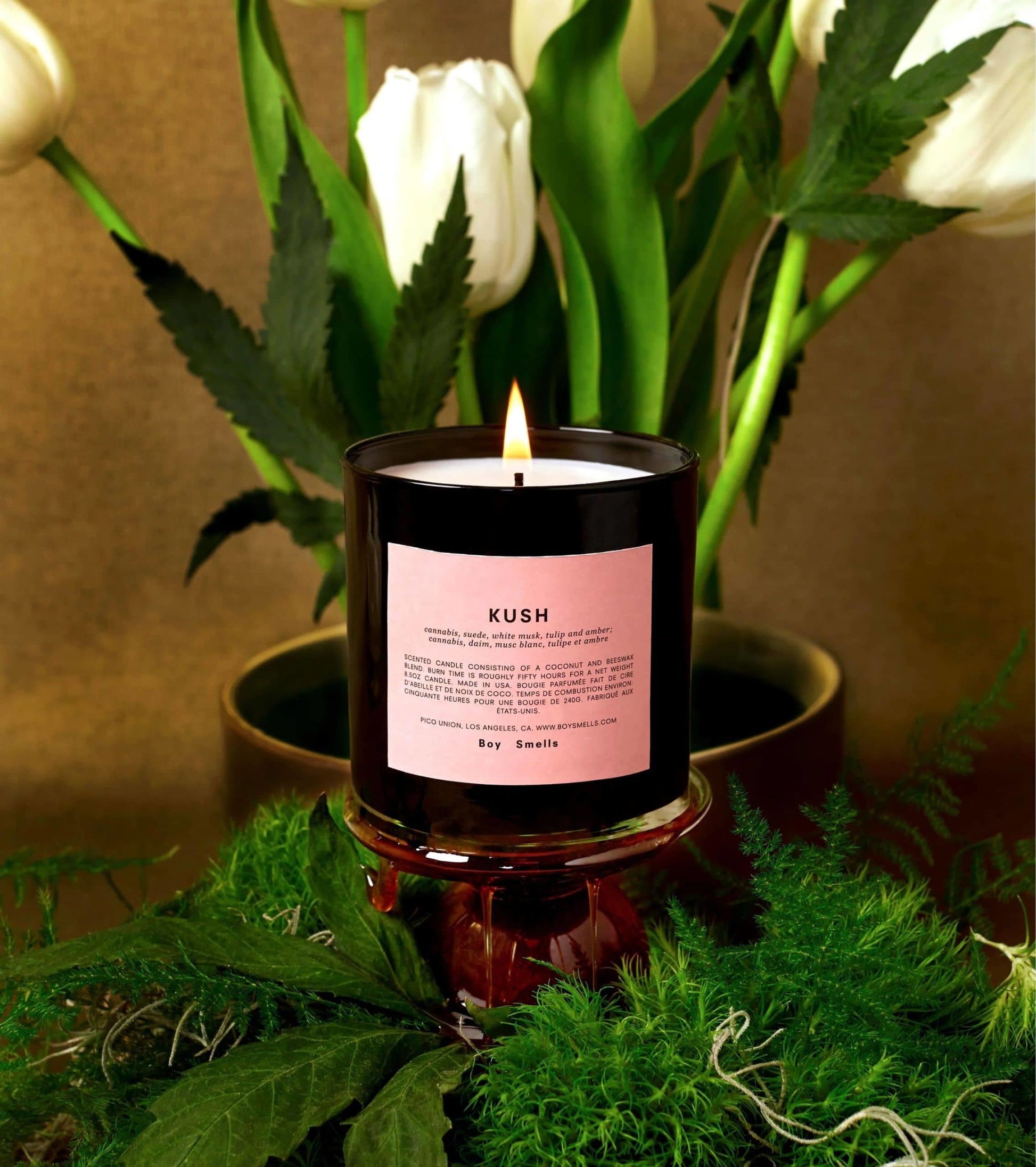 A Boy Smells Kush Scented Candle 8.5oz sits on a glass stand, encircled by green moss, leaves, and an herbal bouquet of white tulips in a vase, all set against a brown background.