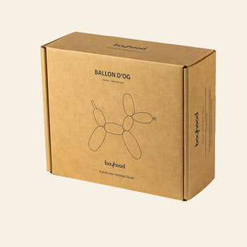 A brown cardboard box with minimalist Scandinavian design and Boyhood branding holds the Boyhood Ballon Dog Small, featuring whimsical fantasy animal art and crafted from FSC-certified European oak.