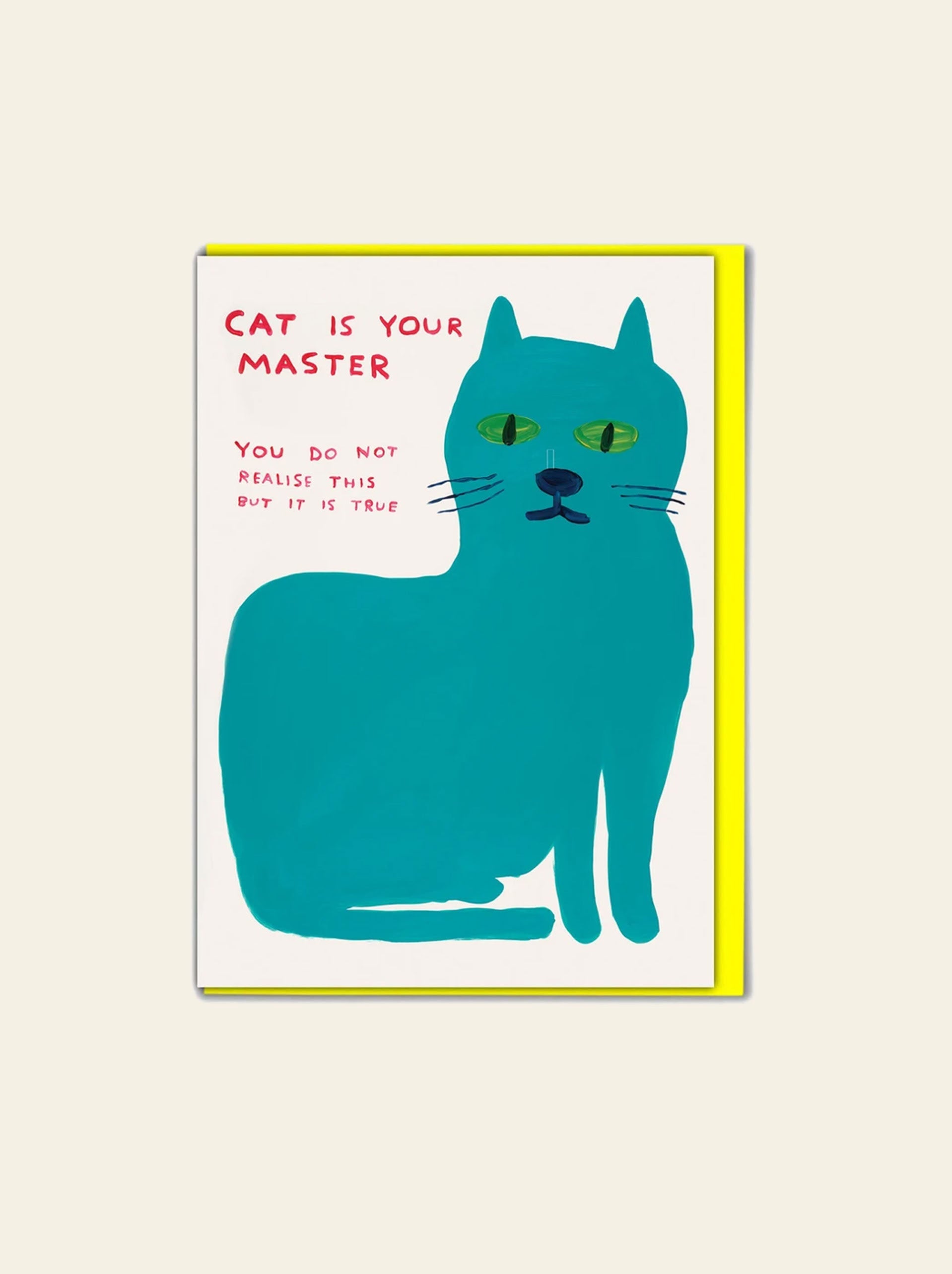 Brainbox Candy David Shrigley Cat Is Your Master Greeting Card