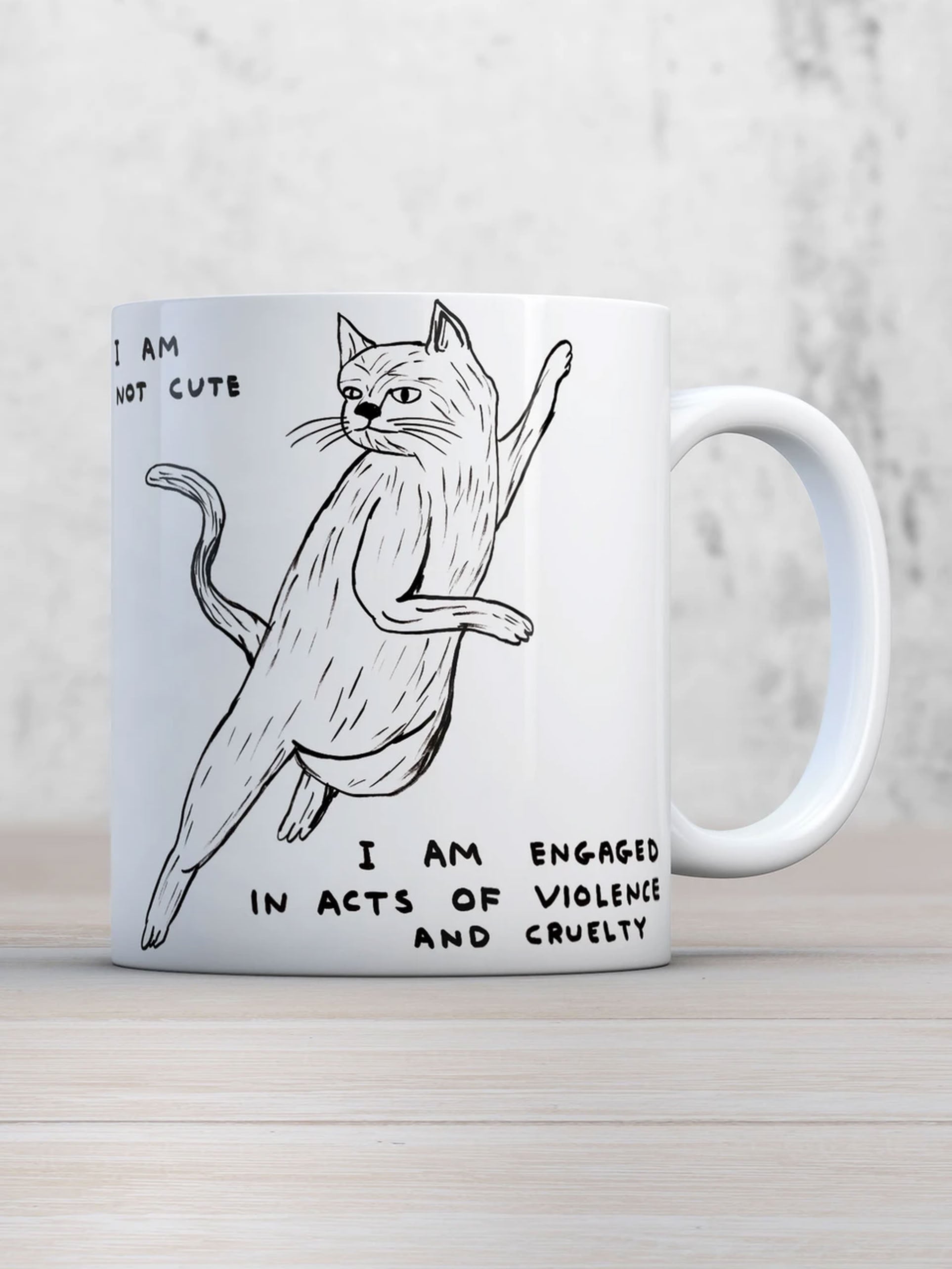 Brainbox Candy David Shrigley I Am Not Cute Mug