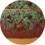 Color Image