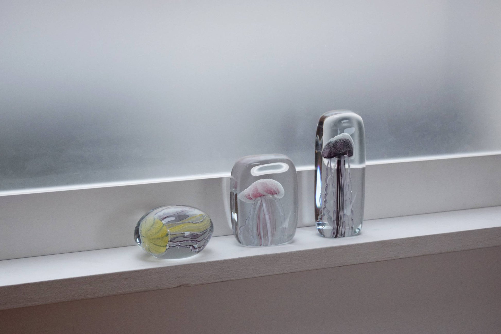 Three DETAIL Jellyfish Twisted Leg Square paperweights by DETAIL, featuring colorful abstract jellyfish designs, are displayed on a white windowsill in front of a frosted window, adding modern décor to the scene.