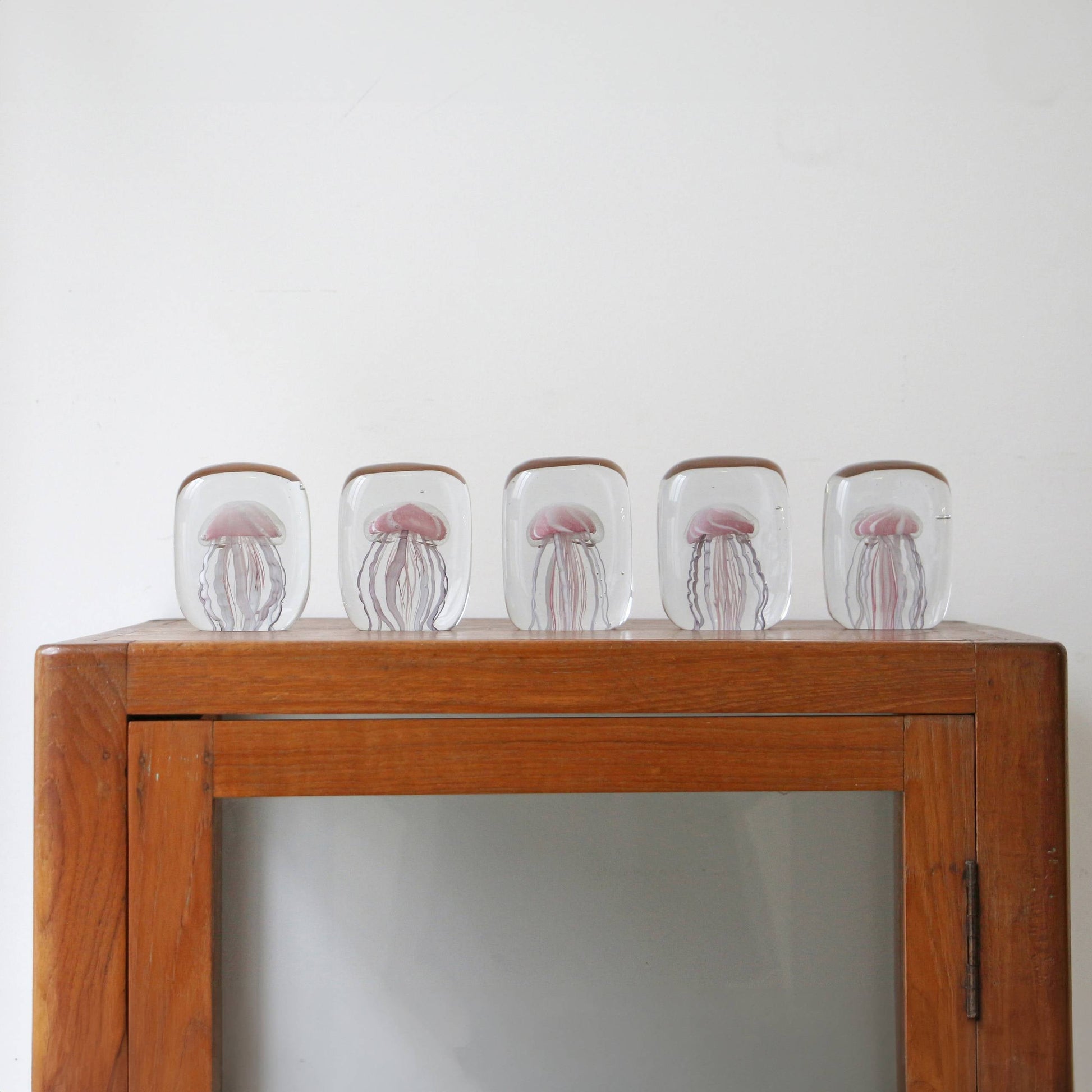 Five DETAIL Jellyfish Twisted Leg Square paperweights by DETAIL, featuring abstract jellyfish designs in clear glass, are displayed on a wooden cabinet against a white wall, bringing a modern touch to the space.