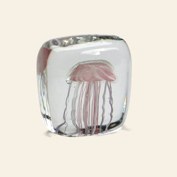 The DETAIL Jellyfish Twisted Leg Square by DETAIL features a clear glass paperweight with an abstract jellyfish design and pink, wavy tentacles—an eye-catching modern décor accent for any space.
