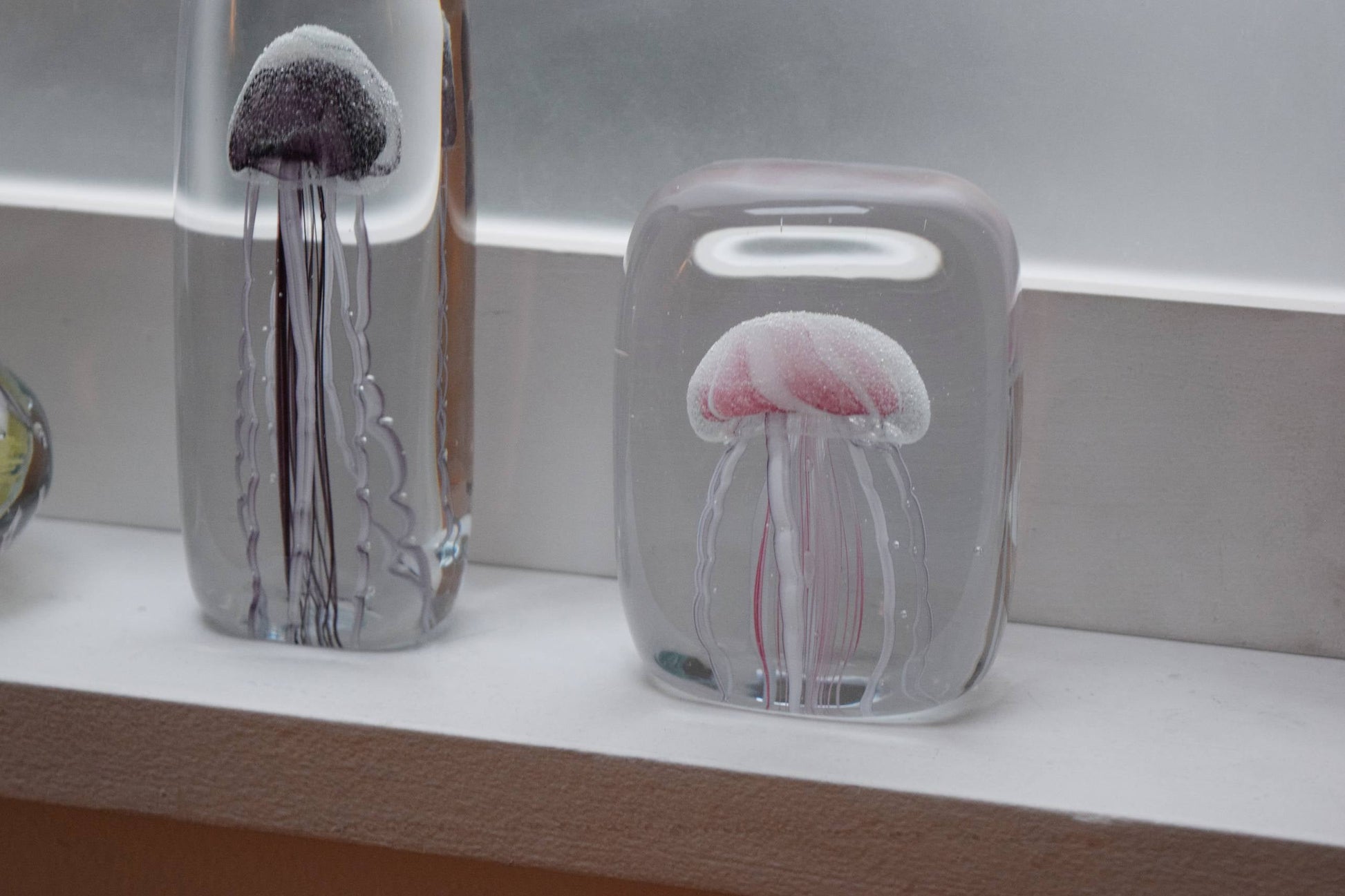 The DETAIL Jellyfish Twisted Leg Square sculpture by DETAIL, featuring an abstract jellyfish design, sits on a white windowsill as light from a frosted window enhances its modern décor appeal.