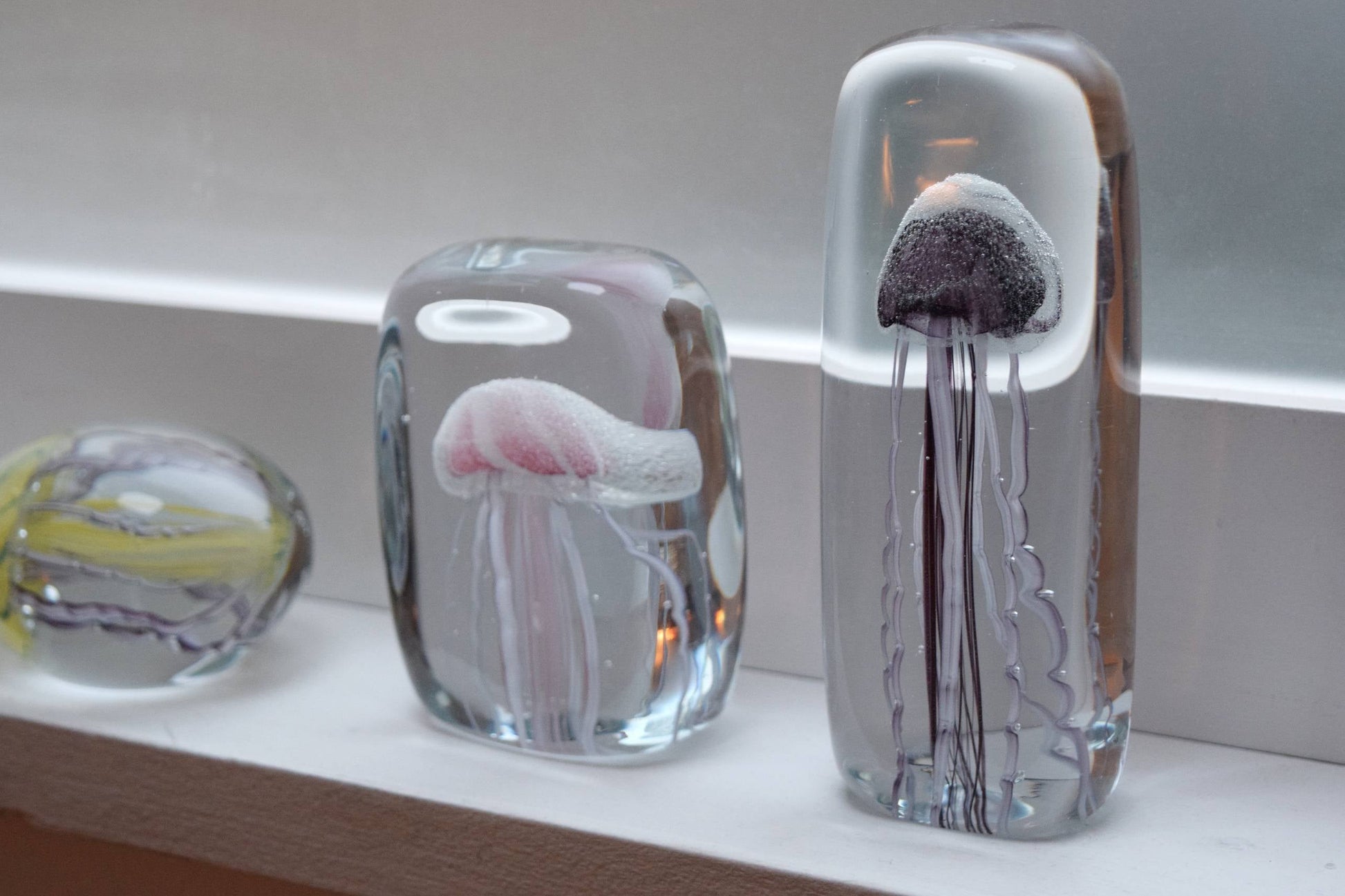 Three DETAIL Jellyfish Twisted Leg Square sculptures by DETAIL sit on a windowsill, each showcasing a colorful jellyfish with twisted tentacles in clear glass—ideal for bringing modern style to any room.