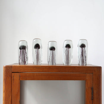 Five DETAIL Jellyfish Twisted Leg Tall glass sculptures by DETAIL stand in a row on a wooden cabinet against a white wall, each featuring clear bodies with dark tops and thin, trailing strands.