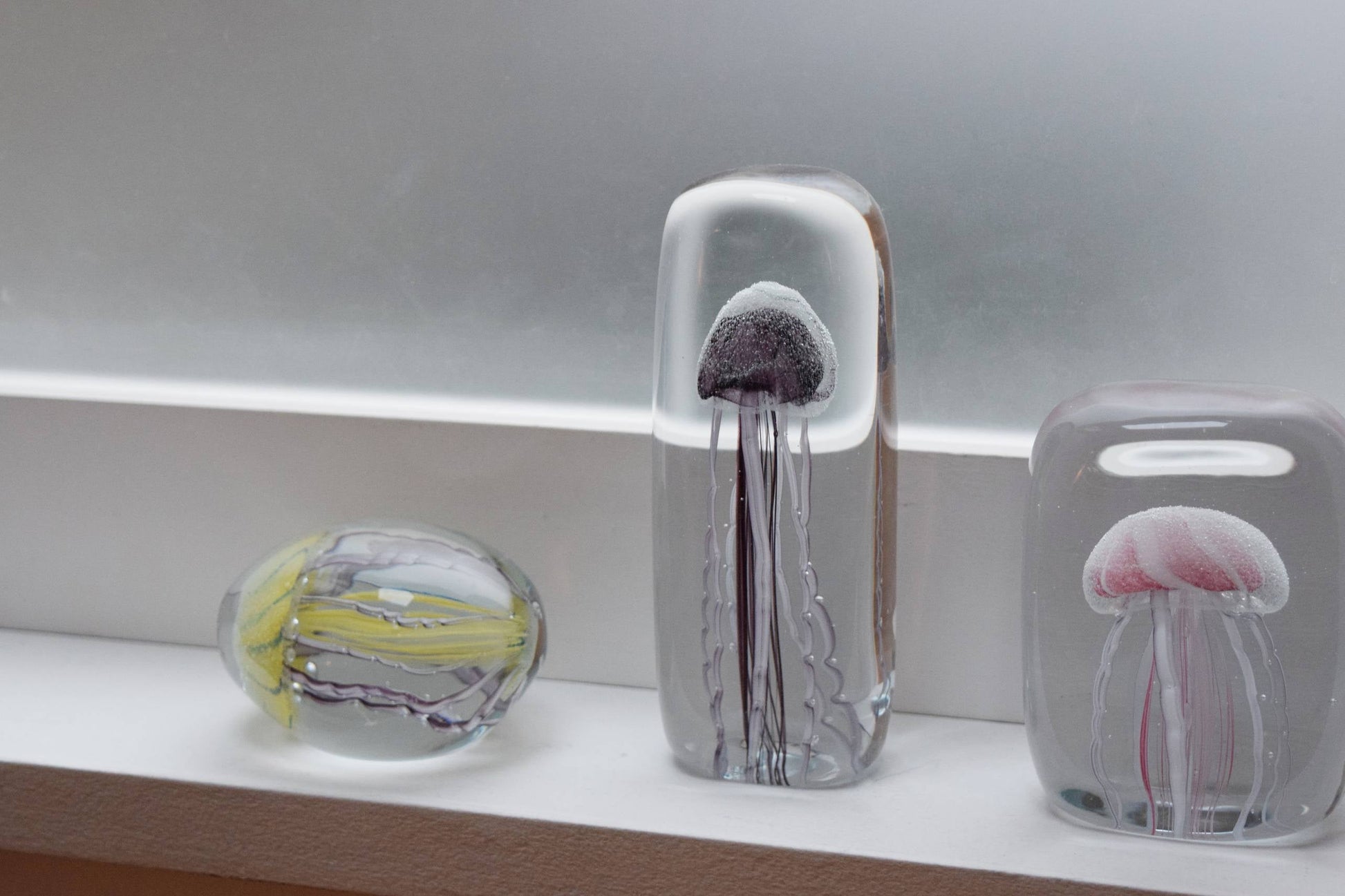 Three DETAIL Jellyfish Twisted Leg Tall paperweights by DETAIL sit on a white windowsill, each featuring a yellow, purple, or pink jellyfish encased in clear glass.