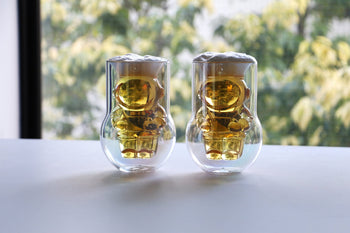 DETAIL NASA Astronaut Double-Walled Glasses Set of 2 Clear