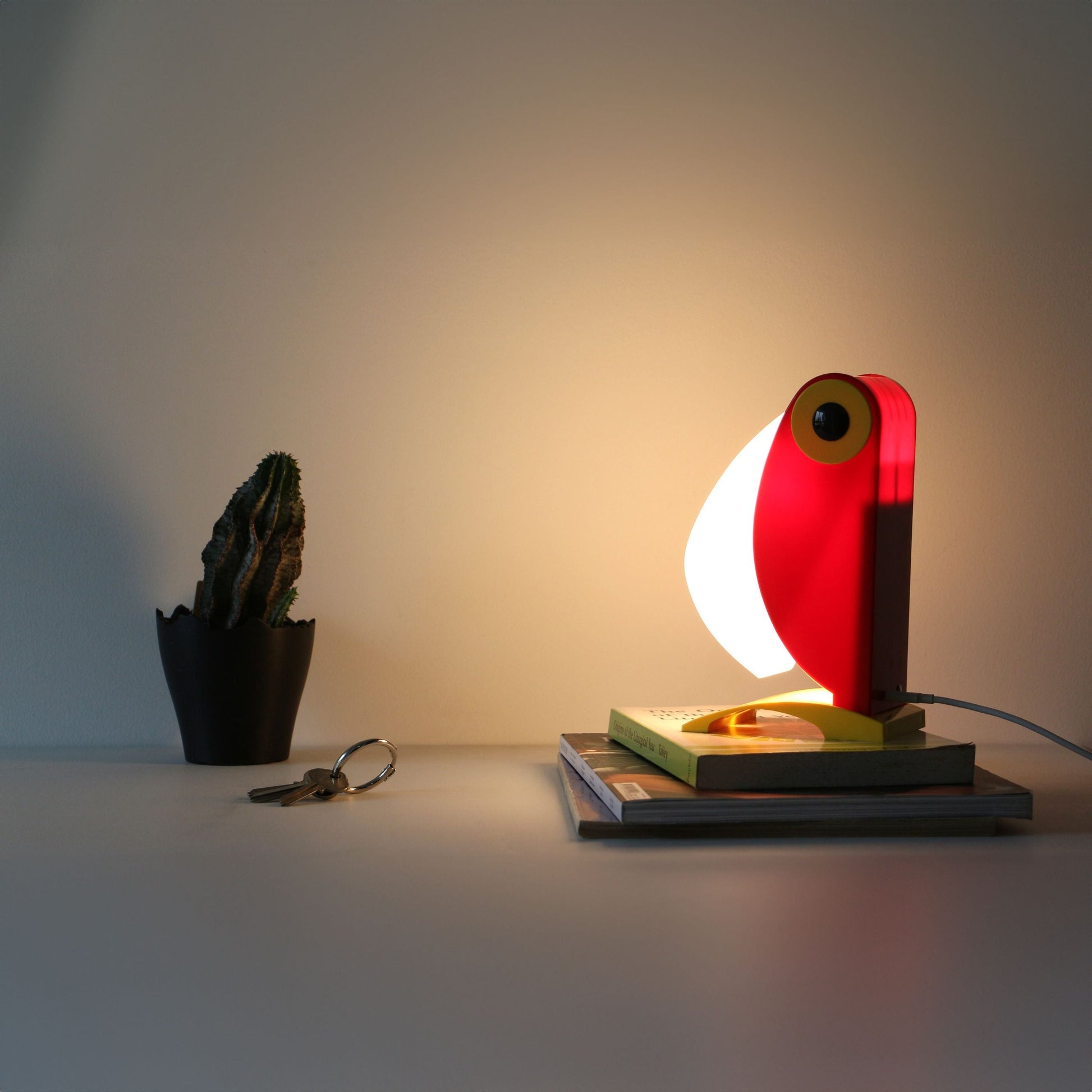 A small cactus in a black pot, a set of keys, and the DETAIL Toucan Lamp by DETAIL with its iconic design rest on a stack of books atop a light surface against a plain background.