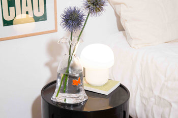 DOIY Goldfish Vase