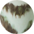 Color Image