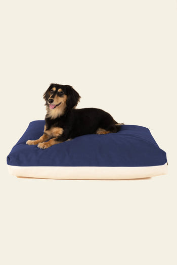 A small black and brown dog is lying on a large, rectangular Good Chonk Cloud Kapok Dog Bed by Good Chonk, featuring a 100% cotton canvas cover, against a plain light background.