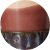 Color Image